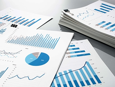 Financial Stability and Development Council Financial Stability and Development Council