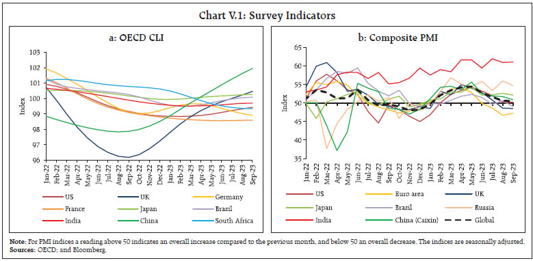 Chart V.1: Survey Indicators