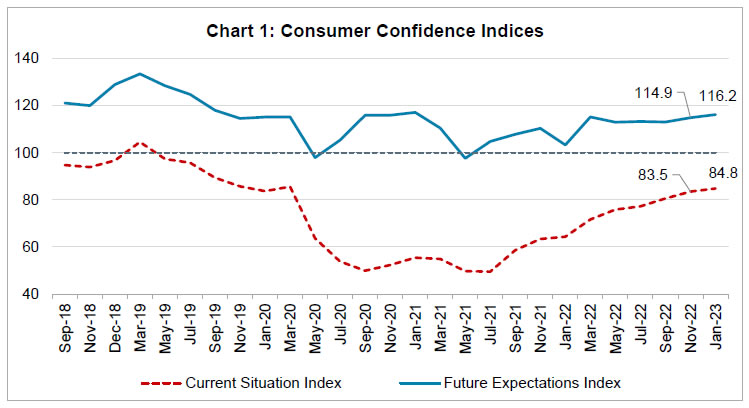 Chart 1: Consumer Confidence Indices