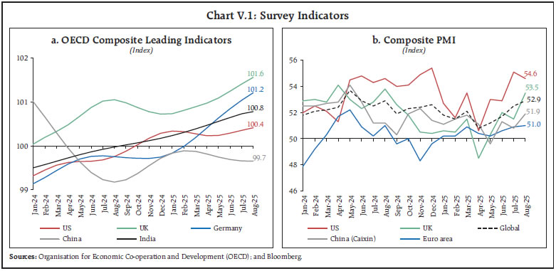 Chart V.1: Survey Indicators
